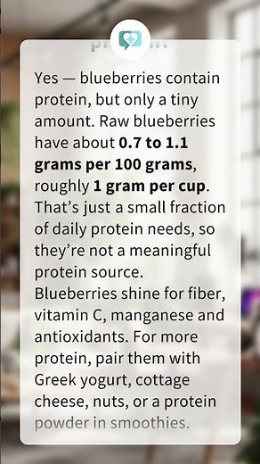 Do blueberries have protein?