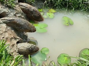 246K views · 138 reactions | Amazing video 2021 | Air Max | Facebook