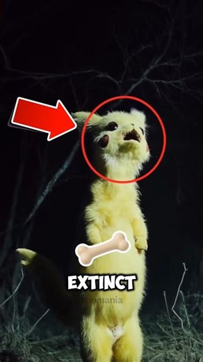 Animals That Came Back From Extinction 😳