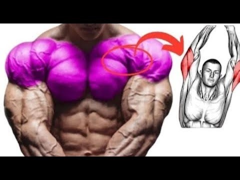 The PERFECT PUSH Routine (Shoulders, Chest, Triceps)