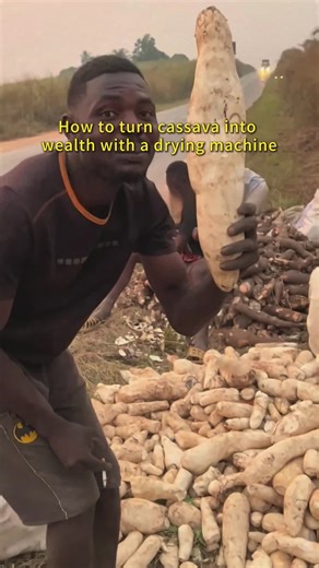Efficient Cassava Processing with Advanced Drying Techniques