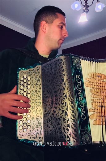 Arranjo melódico (cover)🪗🔊 Guattavo Lima Luis Fonsi (Vagabundo)🎶 @GusttavoLima #fypppppppppppppppppppppppppp #foryoupage❤️❤️ #concertinas🇵🇹 #cover #arranjomusical