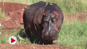 7.7K views · 312 reactions | Looking to inspire the next generation...