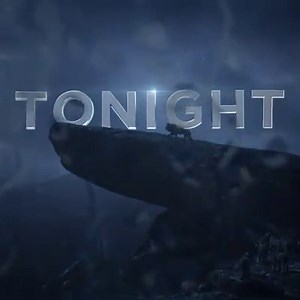 It’s almost time. See The Lion King TONIGHT. http://bit.ly/LionKingATix | The Lion King