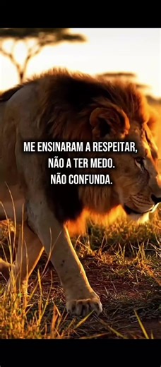 Motivação e Respeito: Frases para Reflexão