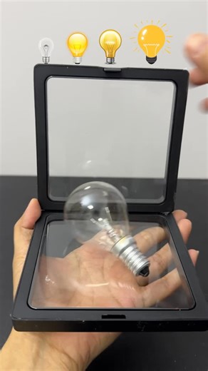 Satisfying 1+1 on Instagram: "Will all light bulb fit?"