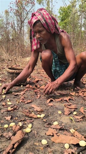 Mahua Morning Magic | Odisha Village Life #mahua #flowers #villagelife #villagevlog #village #love