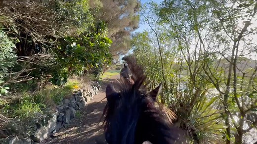 Brookby Heights International on Reels