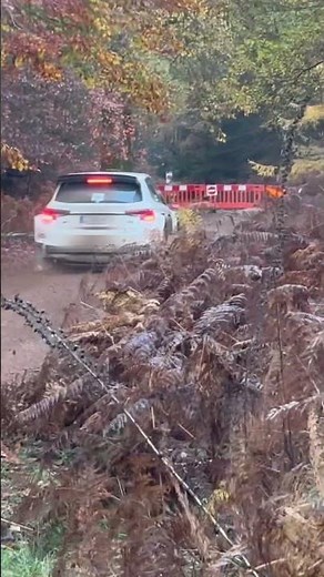 Wyedean rally 2025 #motorsport #rally #racing #wrc#rallycar#race #offroad#2025#rallyracing