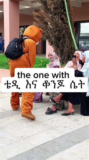 The one with teddy and beautiful girls #fyp #trending #cupcut #fypage #viraltiktok #fypシ゚viral #viral