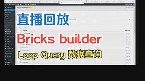 直播回放20251111 Bricks builder列表数据查询Loop Query