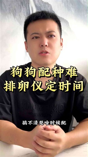 狗狗配种难？排卵仪定时间！