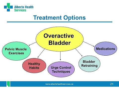Understanding Your Pelvic Floor - The next step