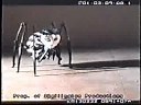 James And The Giant Peach - Mrs Spider Animation Tests