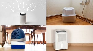 How to Know How Many Rooms a Dehumidifier Will Work For