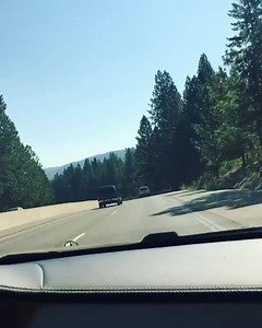 On the way to Reno ... | Berner