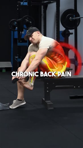 Recover Pain | Chronic Back Pain & Sciatica on Instagram: "⚡️ 3 Step Low Back Pain Rehab! If you’re still dealing with low back pain it means you’re focusing on the wrong thing. 💥 Here are my 3 low back standards to desensitize & bulletproof your low back: 1️⃣ Lower Back Extension (20 Pain-Free reps) 2️⃣ Seated Good Morning (15 Pain-Free reps) 3️⃣ Jefferson Curl (10 Pain-Free Reps Pick your progression & increase intensity over time until you meet the standards above! I hope the video was helpf