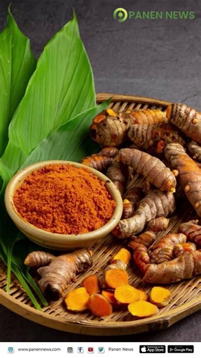 Manfaat Curcumin pada Kunyit untuk Kesehatan