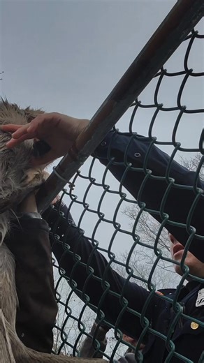 40K views · 993 reactions | Saved ! A Rescue story so good it had to...