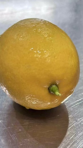 Friday Flavours 🍋 Taking advantage of the most beautiful lemon tree pickings for our Preserved Lemons. Prepped and ready to savour in 6-8 weeks. These locally grown lemons, preserved in their own juice and salt, make a great condiment for moroccan and middle eastern cooking. Add to salsa, salads, fish, poultry or lamb. . . . . #mitchspreserves #mitchspreservesonline #makemineamitchs #lifesamitch #homemadepreserves #localproducer #preservedlemons | Mitch's Preserves