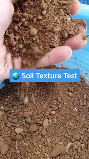 🌏 Soil Texture Test 🌏 #soil #science #scienceproject #scienceteacher #과학실험 #과학
