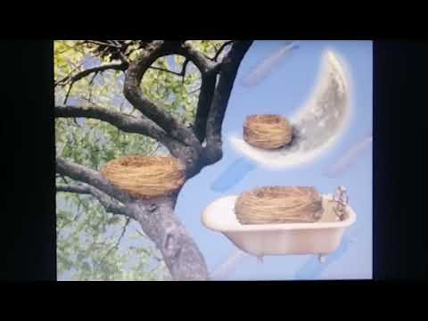 Elmo's World Quiz Episode 27: Birds