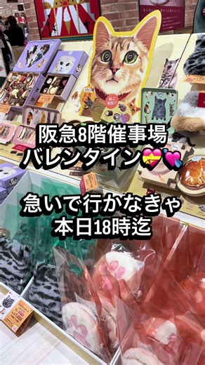 バレンタイン💘💝 阪急8階催事場は 本日18時迄🏃‍♀️💨 ◎パティスリー パ.ド.ドゥ 📍福岡市南区高宮2-1-38 ☎︎092-522-5708 8のつく日はハリネズミ🦔 エクレアの日🦔🦔💗 ◎Une Partieアンパルティ 📍福岡市東区和白丘4-1-2 ☎︎092-410-3352 ◎Mini One 📍博多阪急地下1階 #バレンタイン #バレンタインデー #チョコレート #chocolate