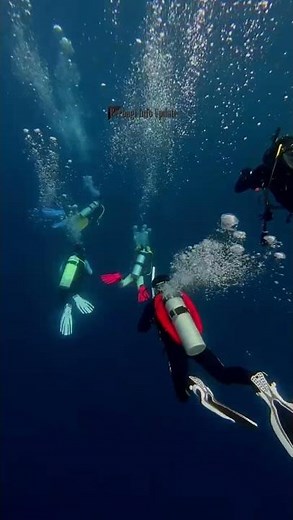 Keindahan Dunia Bawah Laut: Suasana Penyelaman Scuba yang Menakjubkan!
