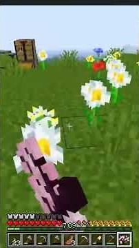 How to get FREE bone meals IN MINECRAFT