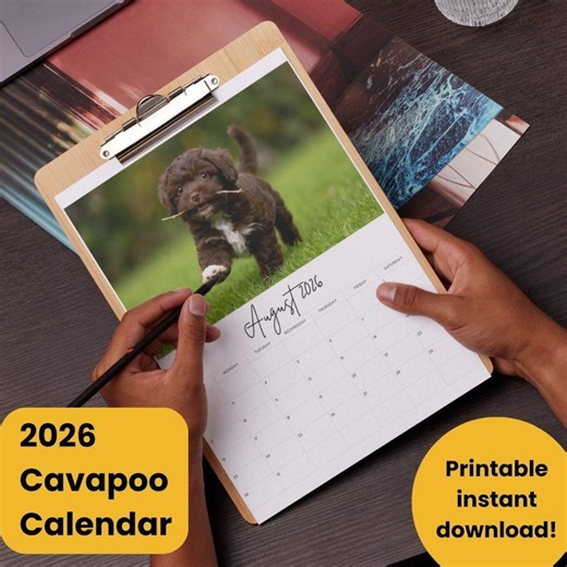2026 Cavapoo Puppy Calendar | Modern Collage Layout (digital Download) - Etsy Canada