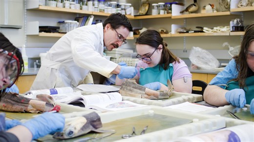 1.5K views · 26 reactions | Exploring vertebrate anatomy in Biology Professor Philip Bergmann's lab 麗 Each spring, students in Professor Bergmann’s Comparative & Human Anatomy course dive deep into anatomical systems, uncovering how vertebrates function and how their systems are intricately connected. In this class, they examine spiny dogfish sharks. | Clark University | Facebook