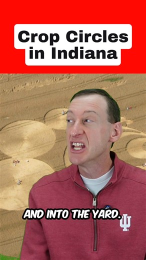 12K views · 223 reactions | An Alien Invasion for your Halloween pleasure | Kent Pettit | Facebook