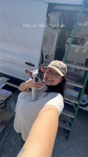 Maxxair fan install + baby frenchie #vanlife #vanbuild #transit #camper #viral #shorts #diy #project