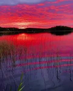 Swimming at sunset in Finland 🌅🏊‍♂️ @hannapauliiina | Aurora Borealis Observatory