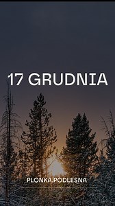 17 grudnia W tradycji ludowej połowa grudnia była momentem bardzo uważnej obserwacji pogody. Wierzono, że to, co dzieje się teraz, utrwali się na dłużej: – „Grudzień stały będzie rok doskonały.” – „Jaki grudzień, taki czerwiec.” – „Gdy grudzień bez śniegu, to zima bez biegu.” Był to czas: – domykania wszystkich prac gospodarskich – dokładania opału i sprawdzania zapasów – życia w rytmie krótkiego dnia i długiego wieczoru – duchowego przygotowania do Świąt Bożego Narodzenia Ziemia śpi, świat cich
