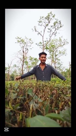 this is viral#freefirelovers #shorts #viral #shortvideo