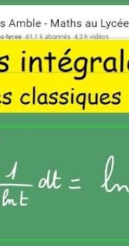 Les intégrales- Terminale Spé maths et complémentaire- Les grands classiques 1/(xln(x))