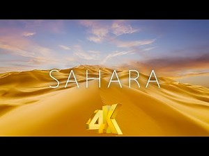 4K Video of the Sahara Desert to Relax and Warm You Up
