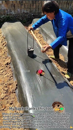DIY Mulch Hole Punch: Fast & Smart Planting! 🌱🔧