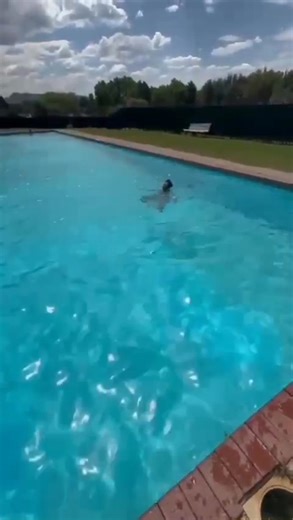 33K views · 661 reactions | #float #survive #learntoswim 58564788 or 63340391 | Swimming Lessons Instructor | Facebook