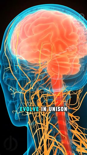 Science is not the enemy of God--in fact, there have been some incredible scientific discoveries that provide more hope and reason to believe in God. Discover more evidence of God found in science at www.y-jesus.com | Y-Jesus