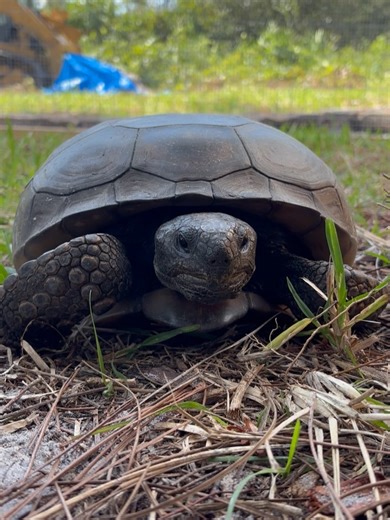Seminole County FL on Reels