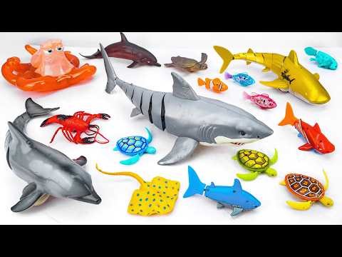 [Toy asmr] RC Sharks & Colorful Ocean Animal & Harp's Aquarium ASMR Satisfying with Unboxing