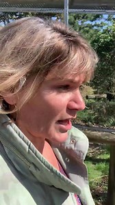 Alison is on her way to see Kalu, our recently rescued chimp who has joined Bryan's group 😊 | Monkey World - Ape Rescue Centre, Official Facebook Page