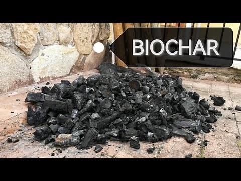 El Lombricero - BIOCHAR todo lo que necesitas saber. Documental completo sobre carbón activado 🔥