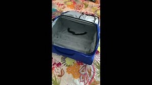 Noel MacNeal, Vicki Eibner, Tyler Bunch, Peter Linz & James Kroupa will headline a Bear in the Big Blue House 25th Anniversary Reunion Panel @ DIS Con Sept. 30 & Oct. 1 at Disney’s Coronado Springs Resort. Watch as Bear gets ready! Tix: http://ow.ly/oFYA50Kk9j8 | Give Kids The World