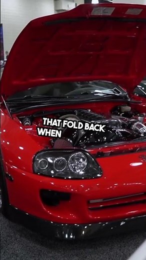 How Do Snake Fangs Work? 🐍 #WildlifeSecrets