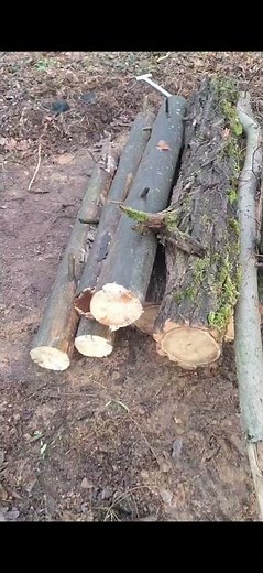 MTB Kicker bauen für euren hometrail🔥