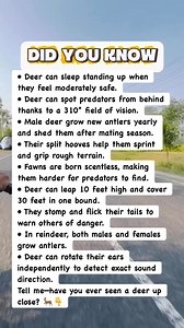 1.9M views · 13K reactions | 9 Deer Facts That Will Blow Your Mind! #facts | Devlop Express | Facebook