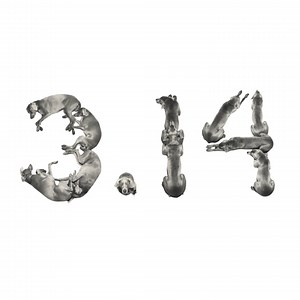 Letters, Numbers and Punctuation, 1993 | William Wegman